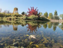 Ata Botanik Park güncelleştiriliyor
